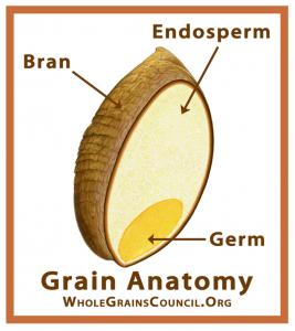 Whole grains. Better than processed grains. Add more of them to your diet.